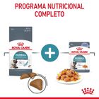 Royal Canin Intense Hairball pienso para gatos, , large image number null